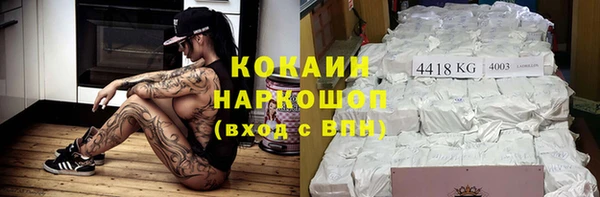 индика Балахна
