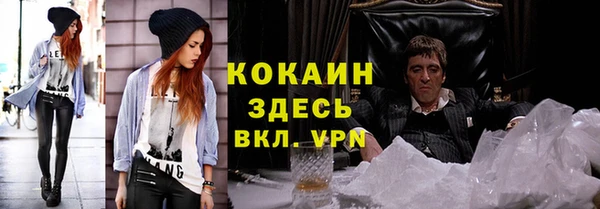 индика Балахна