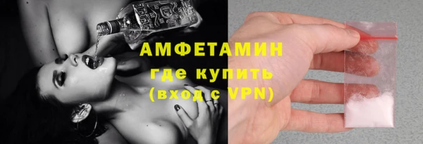 индика Балахна