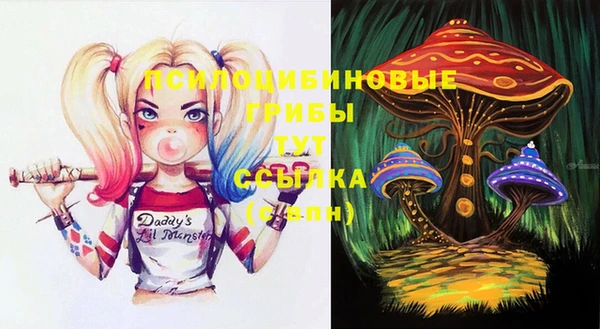 индика Балахна