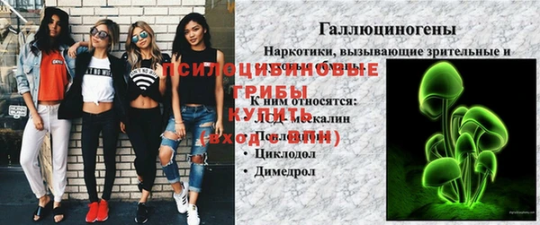 индика Балахна