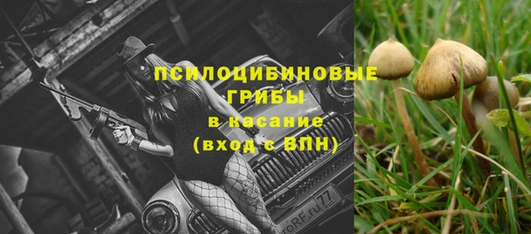 индика Балахна