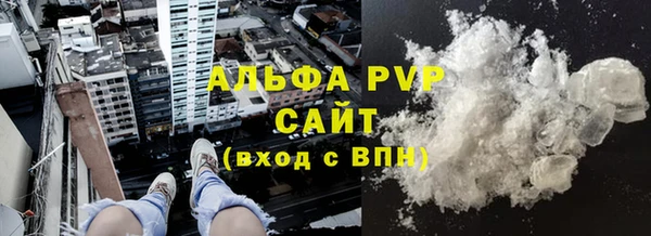 индика Балахна