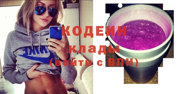 индика Балахна