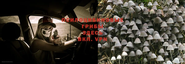 индика Балахна